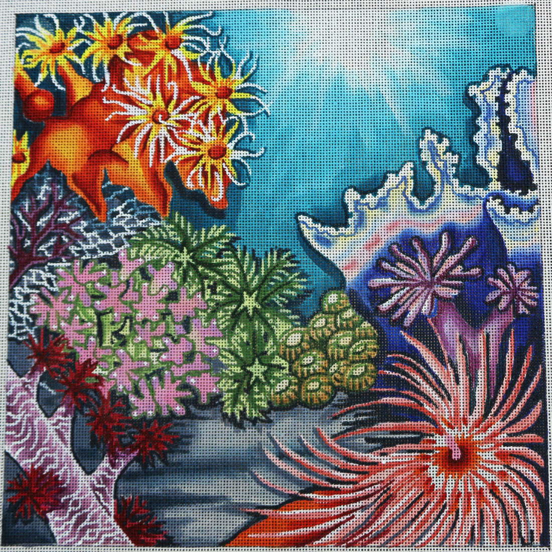 R145 Coral Reef