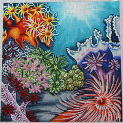 R145 Coral Reef