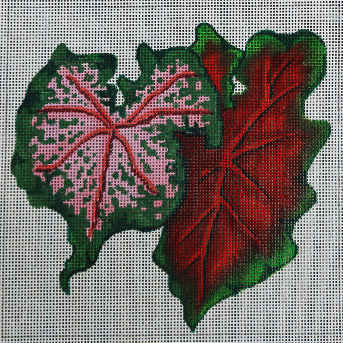 R151 Pink/Green and Red/Green Leaves