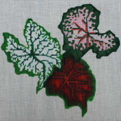 R152 Multicolor Leaves