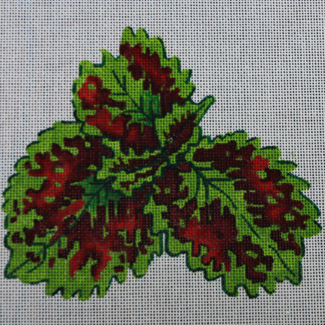 R153 Red/Green Leaves