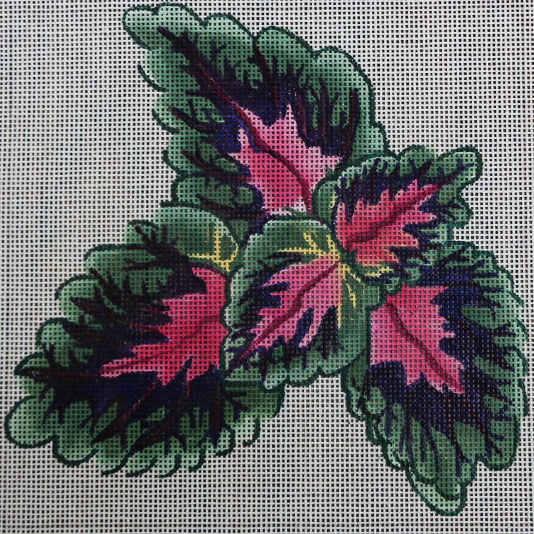 R154 Pink/Green Flower