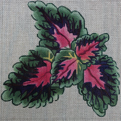 R154 Pink/Green Flower