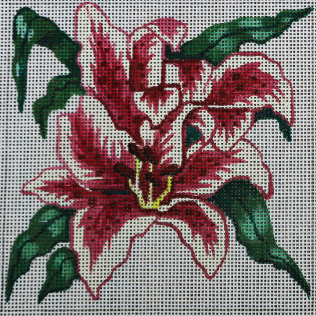 R155 Red/White Flower