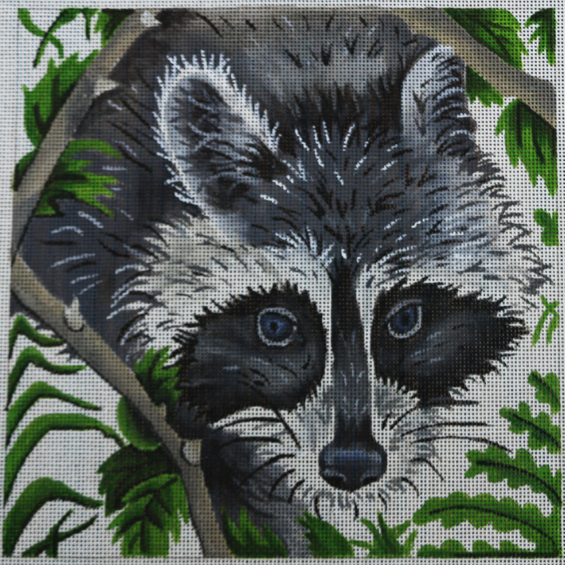 R183 Raccoon