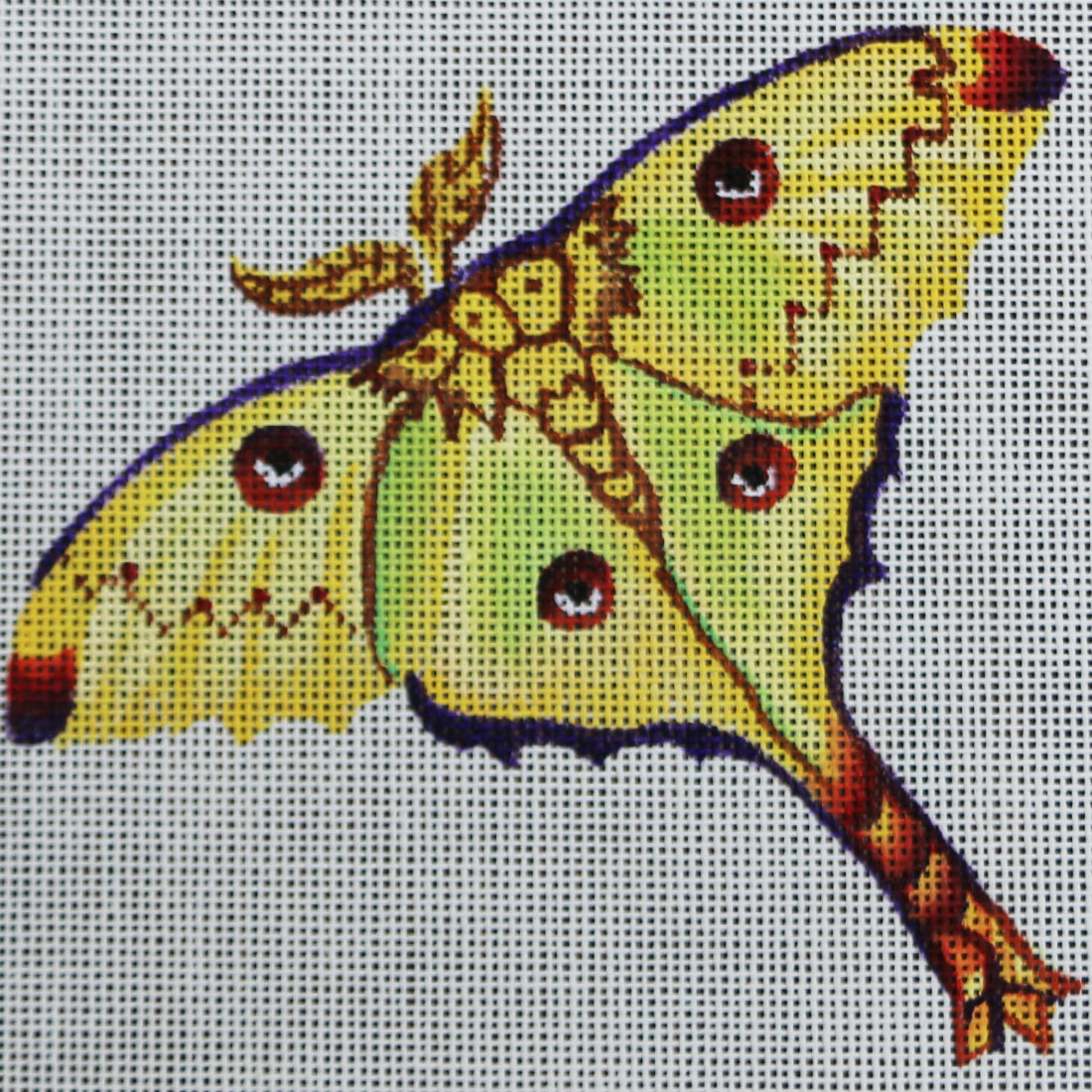 R24 Yellow Butterfly