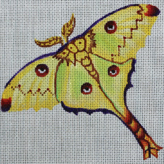 R24 Yellow Butterfly