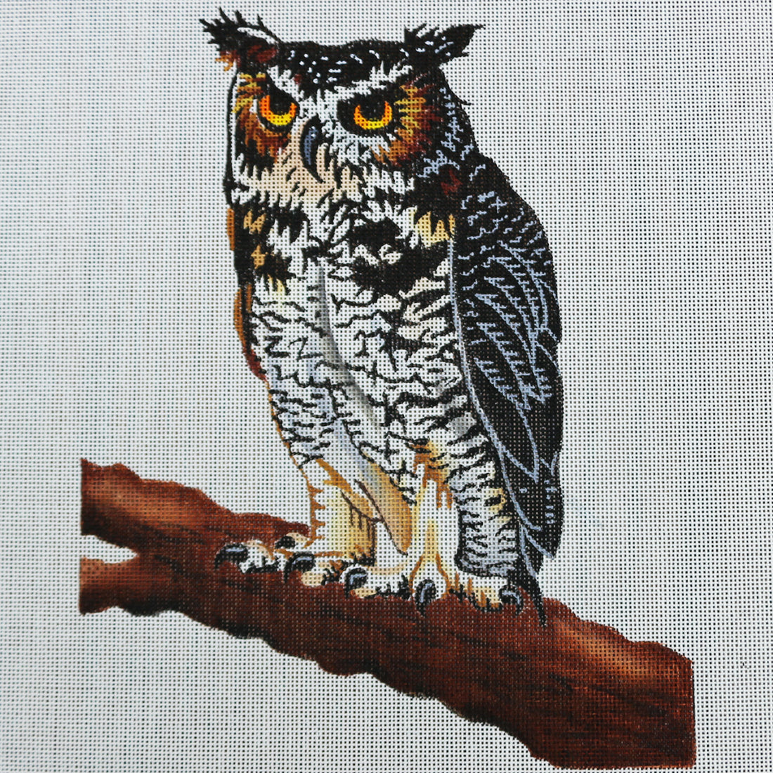R30 Owl on Branch