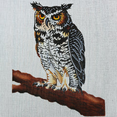 R30 Owl on Branch