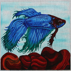 R300 Blue, Red, and Green fish w/ red coral