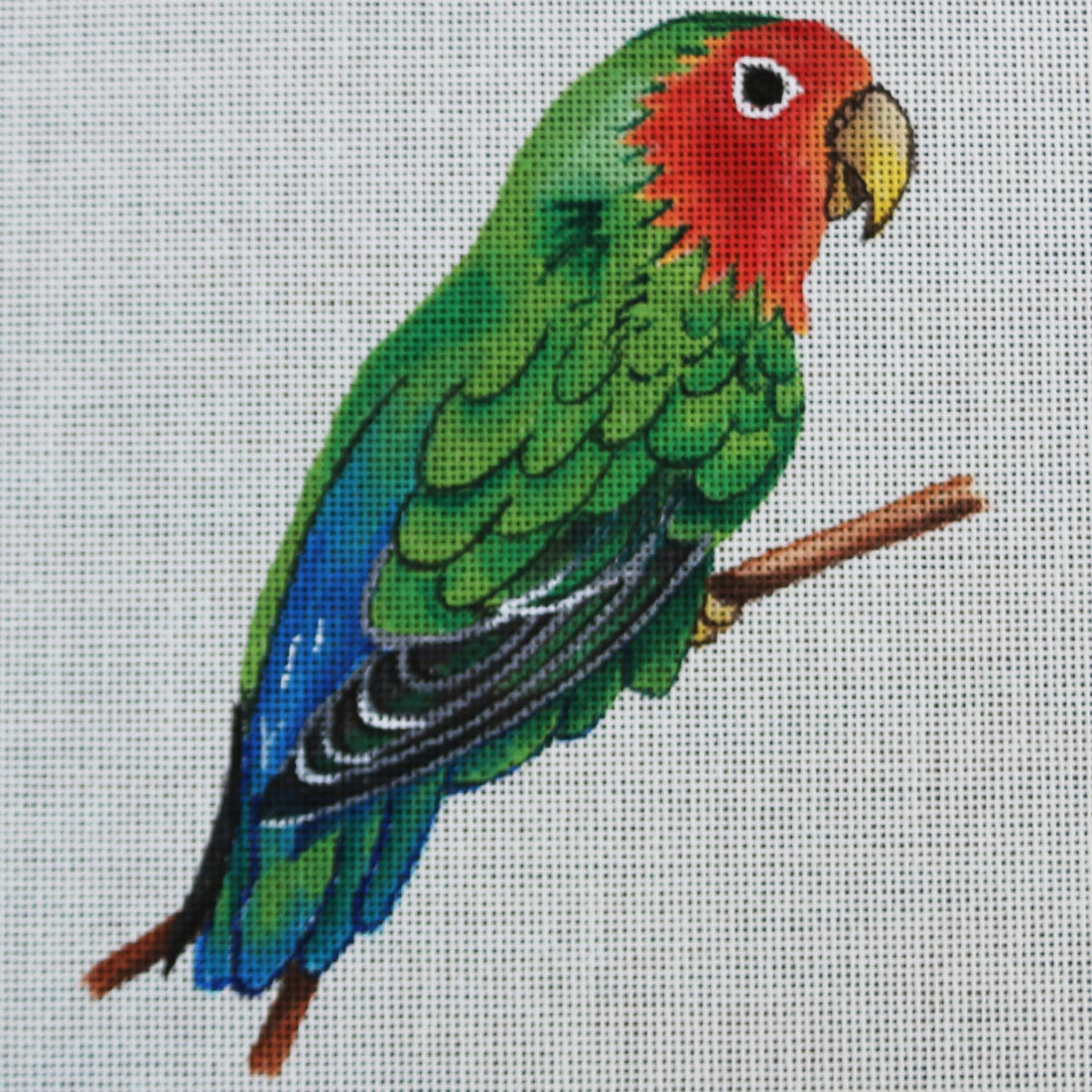 R302 Parrot