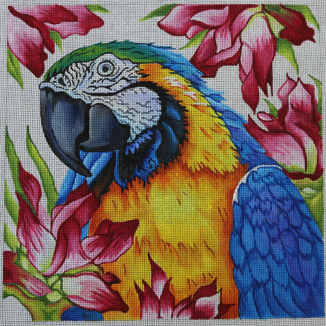 R304 Parrot w/ Floral Background