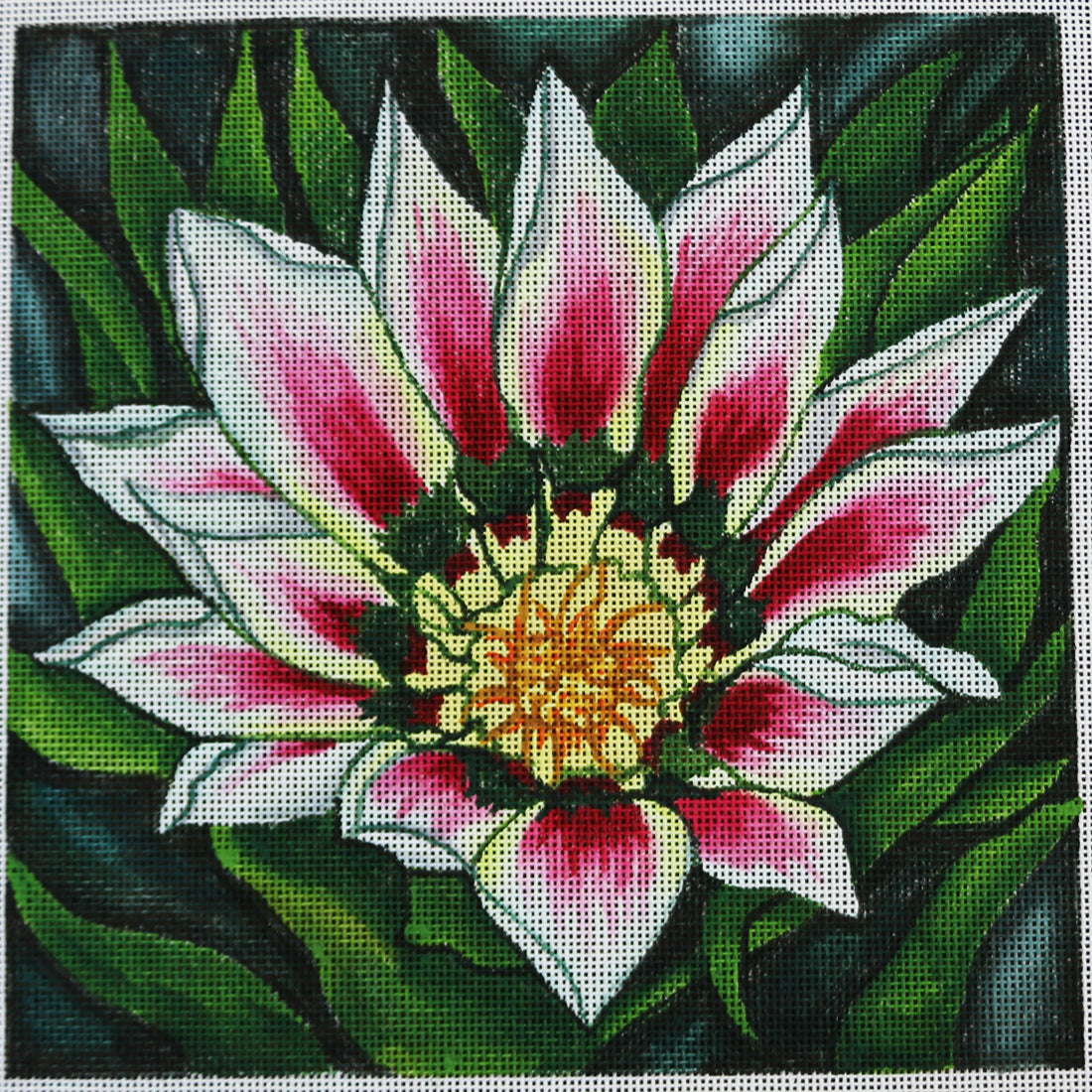 R305 Water Lily