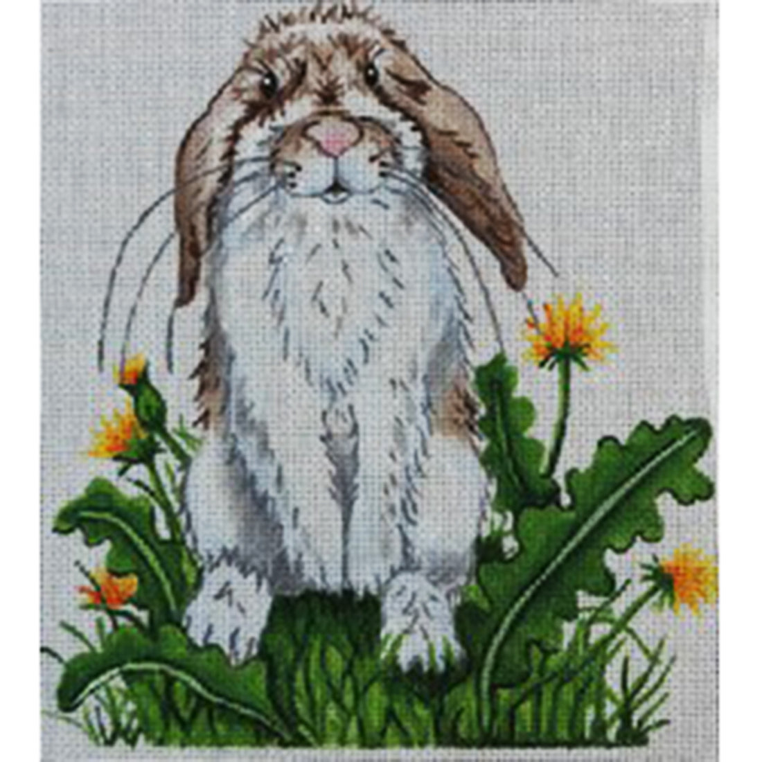 R307 Rabbit with Dandelions