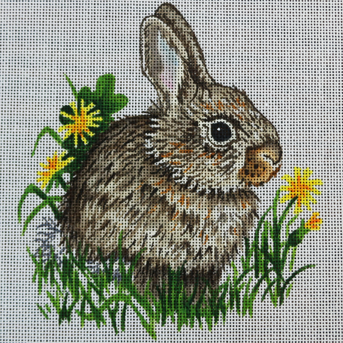R308 Bunny with dandelions