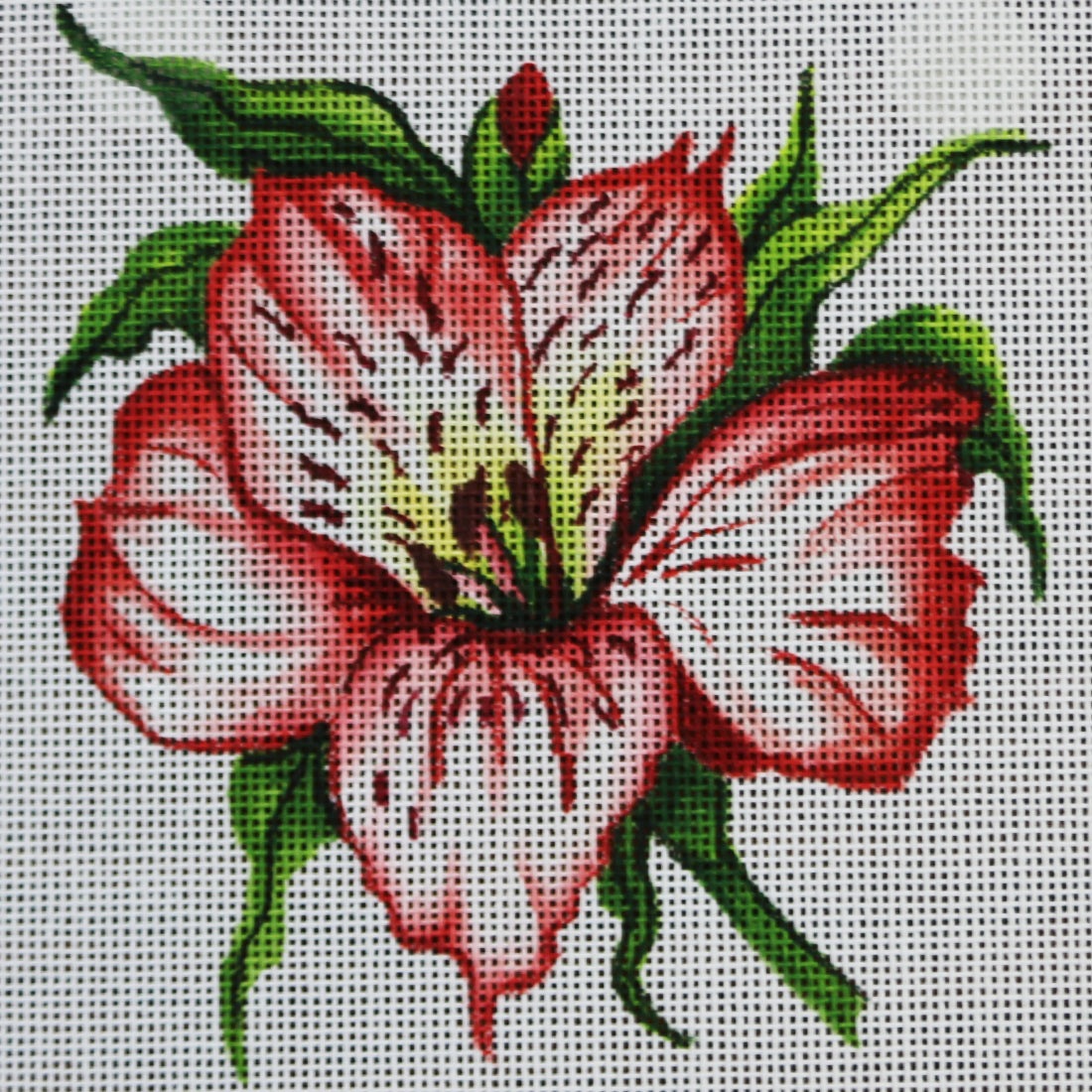 R315 Pink Lily