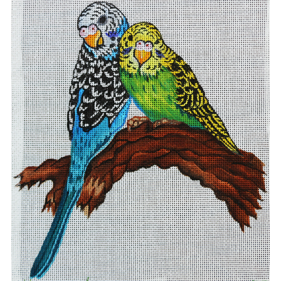 R321 Parrots