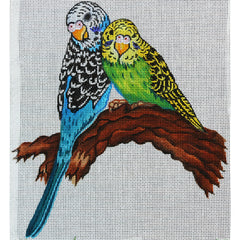 R321 Parrots