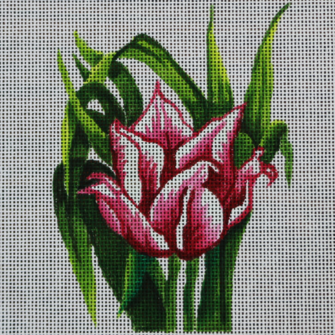 R342 Pink Flower