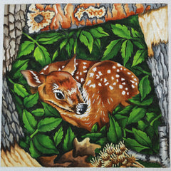 R347 Resting Fawn