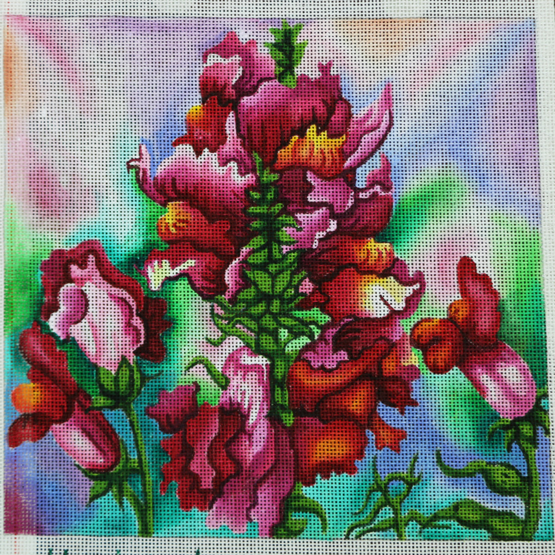 R356 Snapdragon