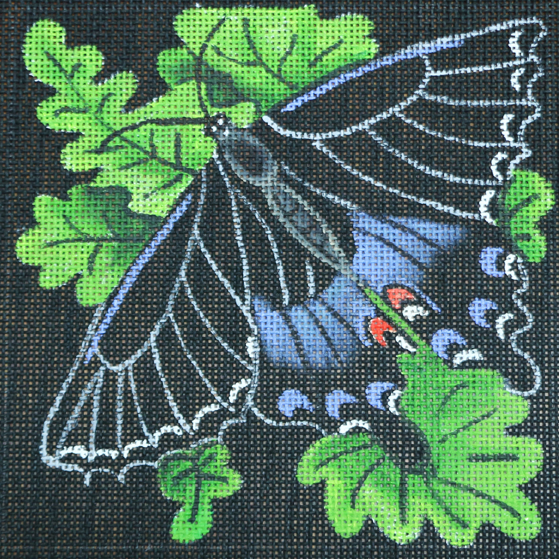 R37 Black and Blue Butterfly