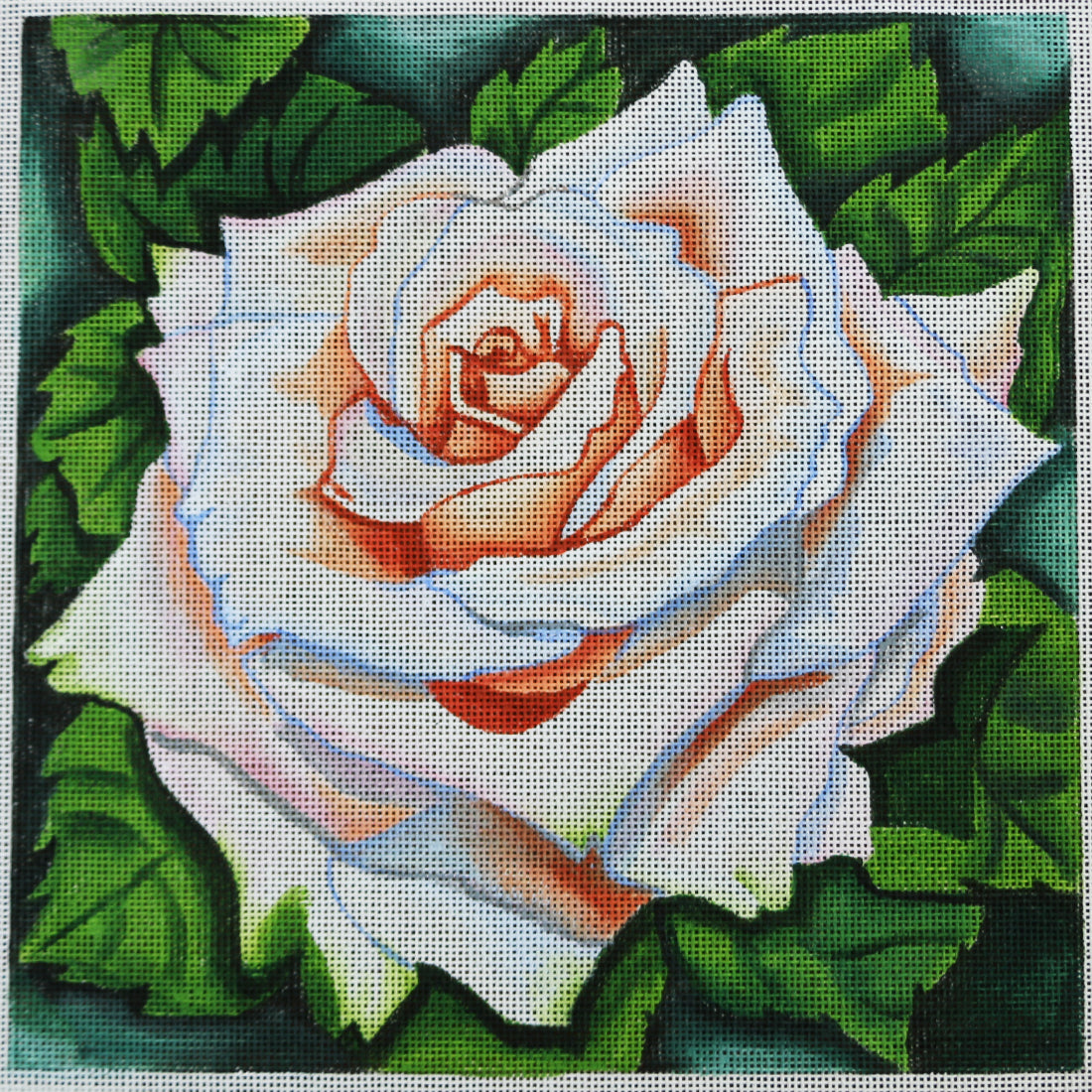 R374 White Rose