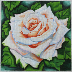 R374 White Rose