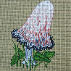 R384 Mushroom