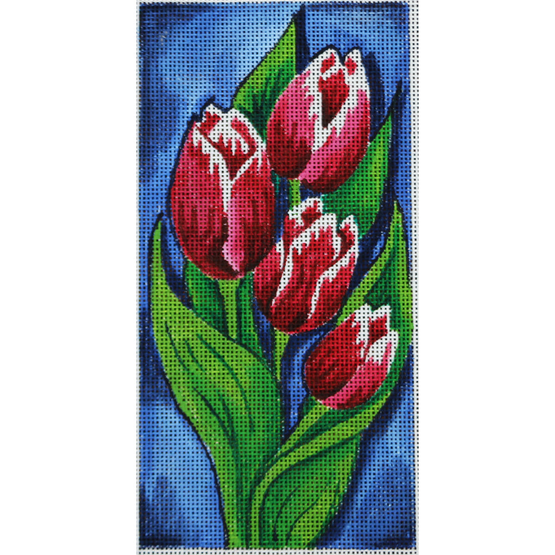 R426 Tulips