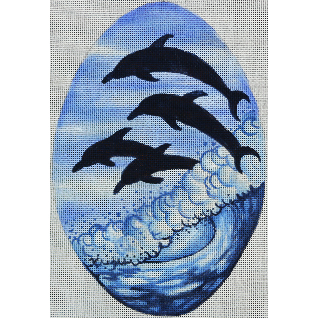 R429 Dolphins Silhouette