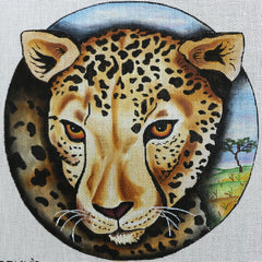 R44 Cheetah