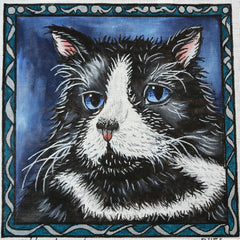 R456 Black and White Cat