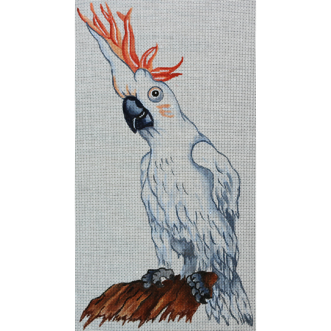 R470 Cockatoo
