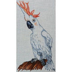 R470 Cockatoo