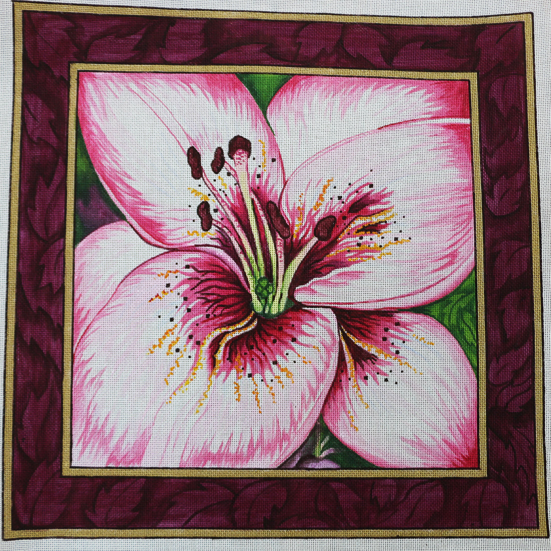 R483 Lily