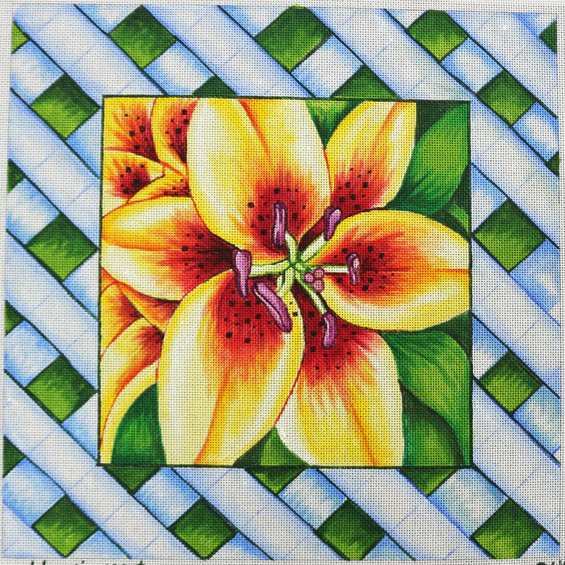 R484 Lily