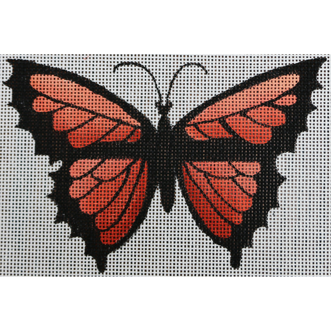 R49 Orange and Black Butterfly