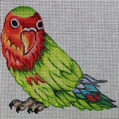 R569 Green parrot w/ red head