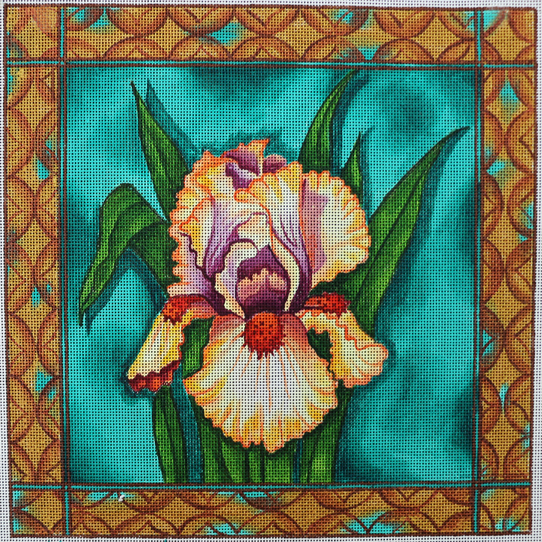 R586 Green background w/ yellow iris