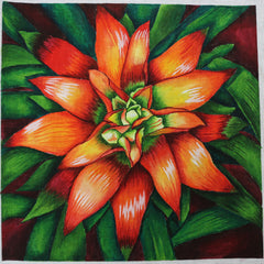 R589 Bromelia