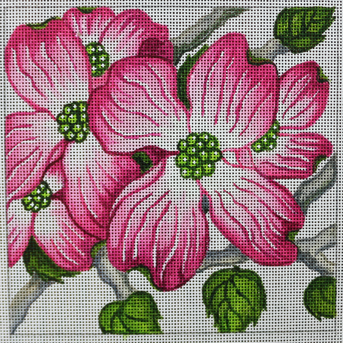 R595 Pink and Green Flower Square