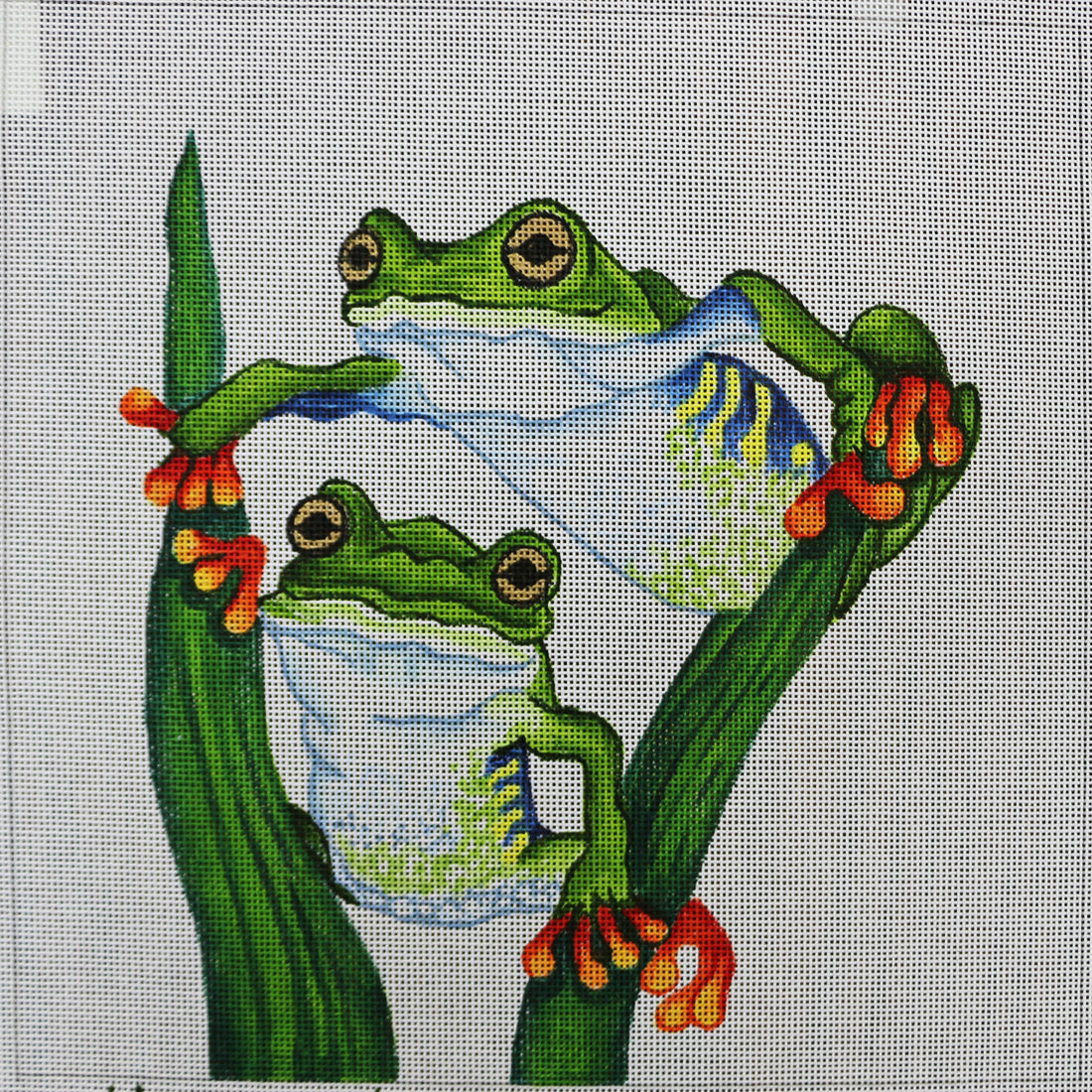 R717 Tree Frogs