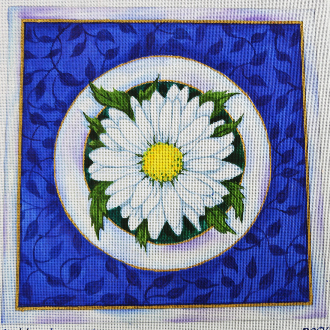 R806 Daisy on blue background