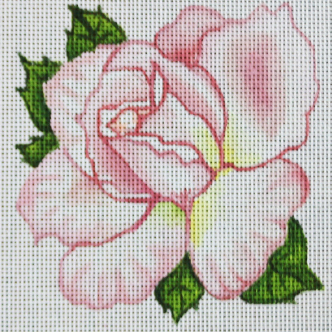 R817 Pink Rose