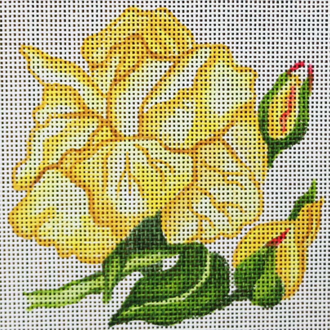 R818 Yellow Rose