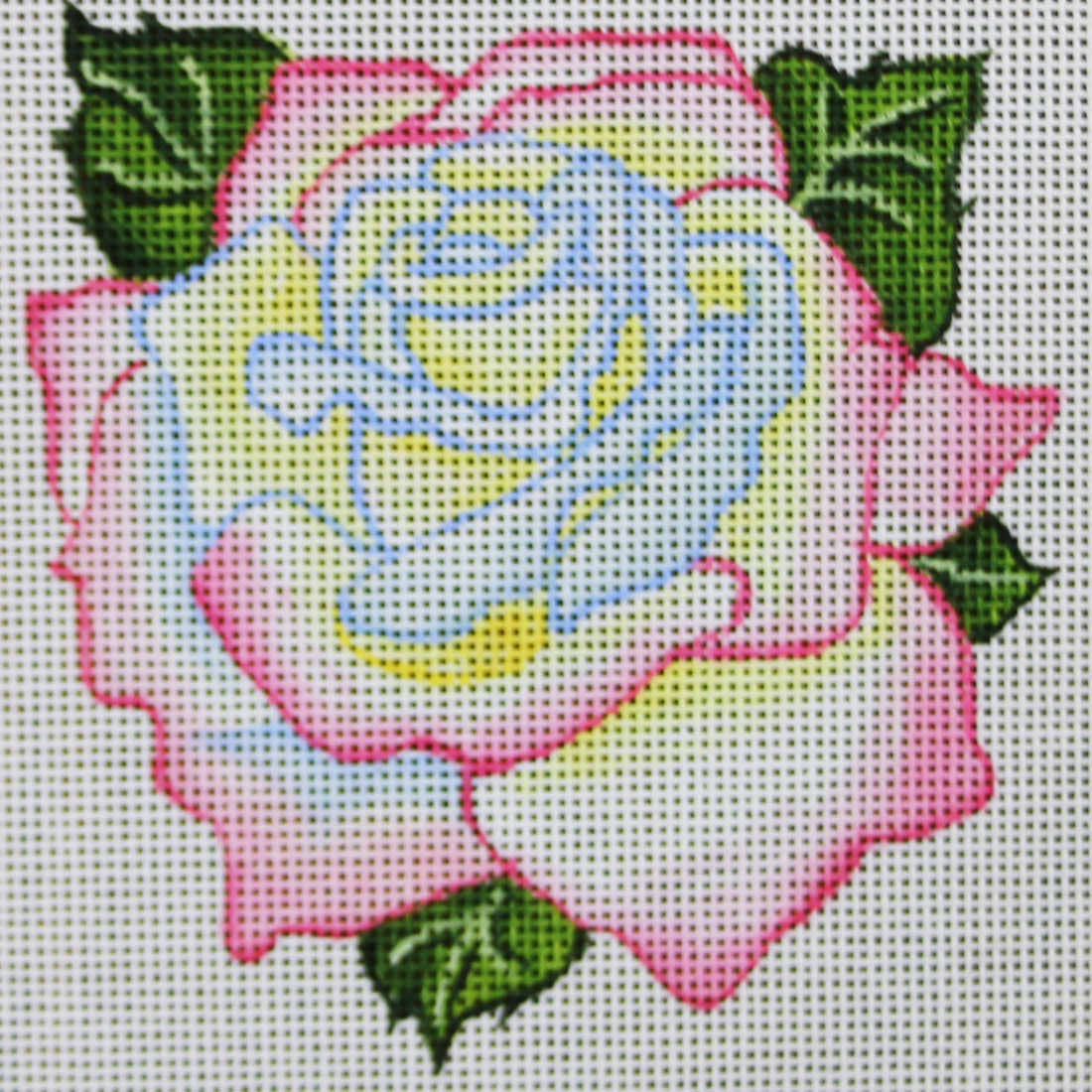 R821 Light Blue, yellow, and Pink Rose