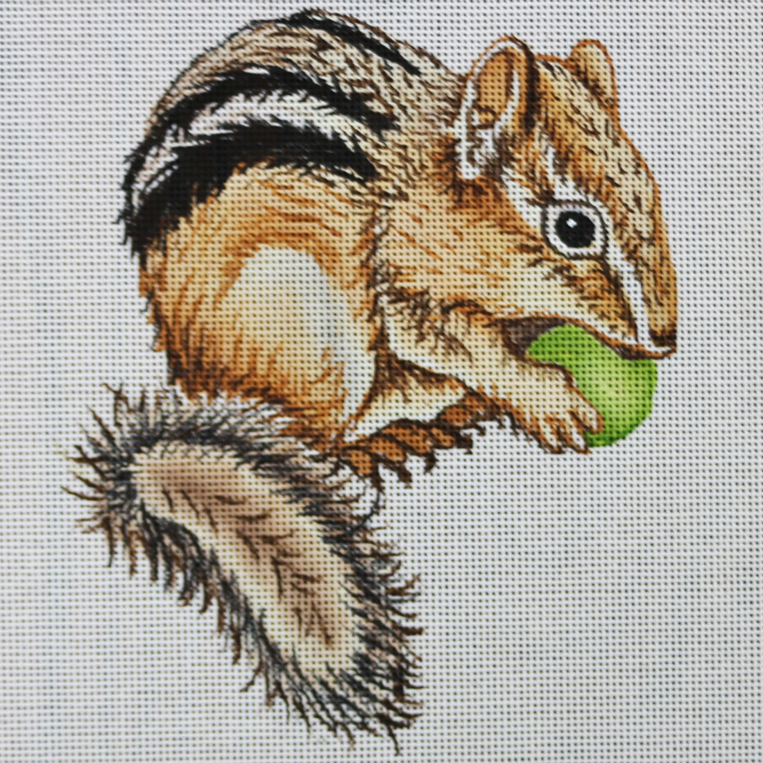 R830 Chipmunk w/ Ball