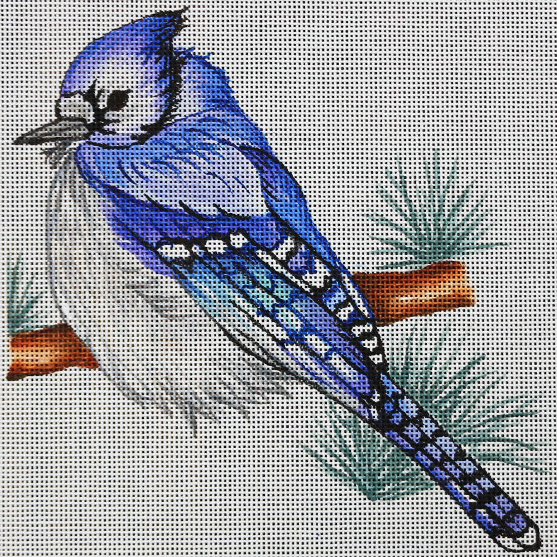 R832 Blue Jay w/ Pine