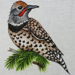R834 Woodpecker
